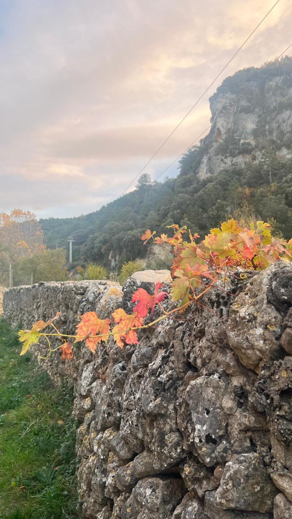 Apartamento La Fonda De Xiva Chiva de Morella Exterior foto